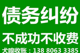 上海为什么选择专业追讨公司来处理您的债务纠纷？